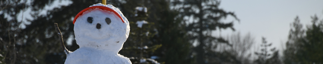 A waving snowman with pine trees in the background.