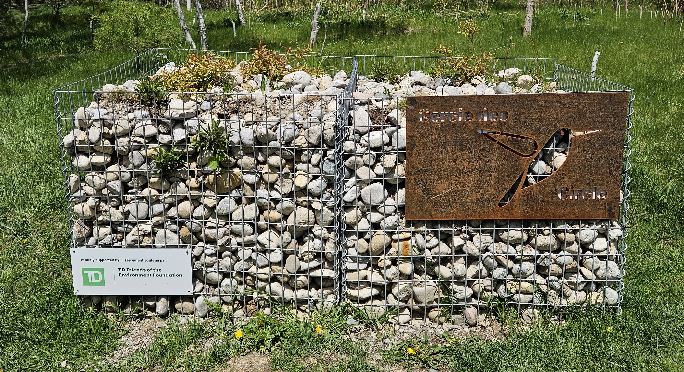 Hummingbird Sign