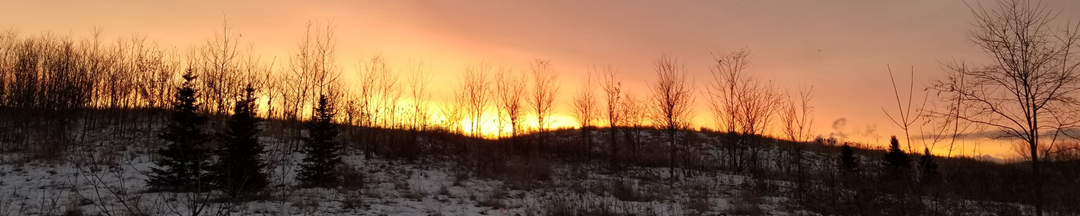 The sun rising at Downsview Park in the winter.