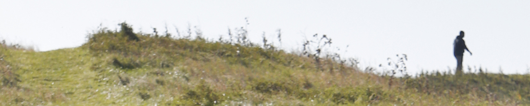 A person walking down a mound.
