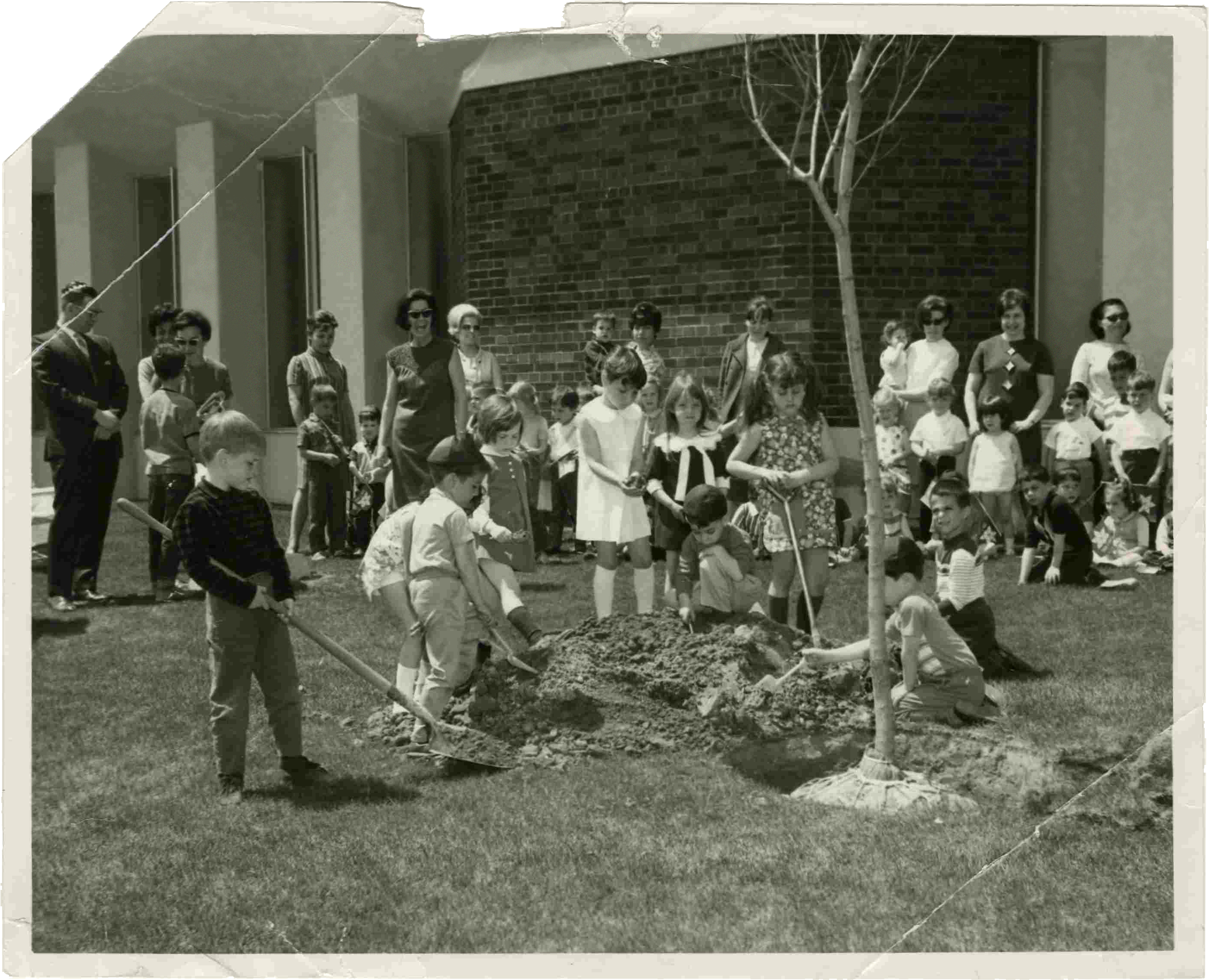 A black and white photo of children planting trees.