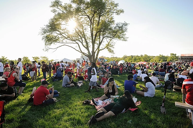 A crowd of people sitting and standing on a field in front of a large tree.