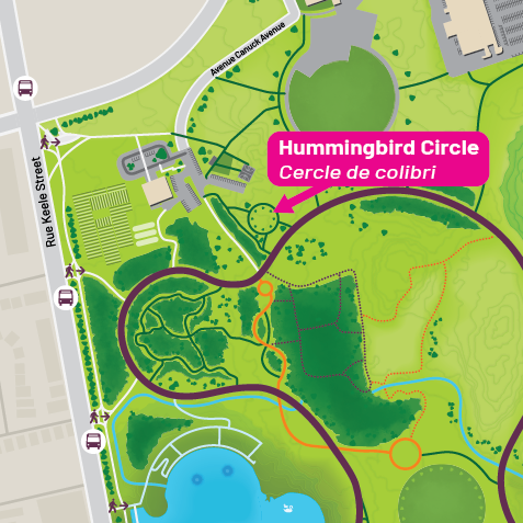 Hummingbird map Hummingbird map