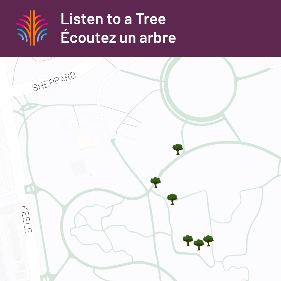 A simple map of Downsview Park with six tree icons near the Circuit Path.