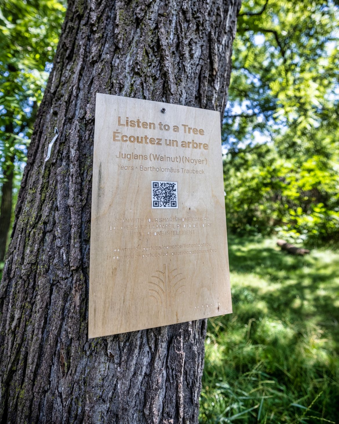 A wooden sign on a tree trunk with a QR code in the middle. Branches and green leaves in the background. | Un panneau en bois fixé à un tronc arbre et présentant un code QR en son centre. Décor de branches et de feuilles vertes en arrière-plan.
