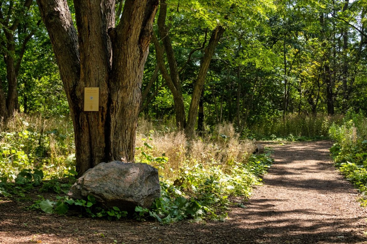 A wooden sign on a tree trunk with a QR code in the middle. Branches and green leaves in the background. | Un panneau en bois fixé à un tronc arbre et présentant un code QR en son centre. Décor de branches et de feuilles vertes en arrière-plan.