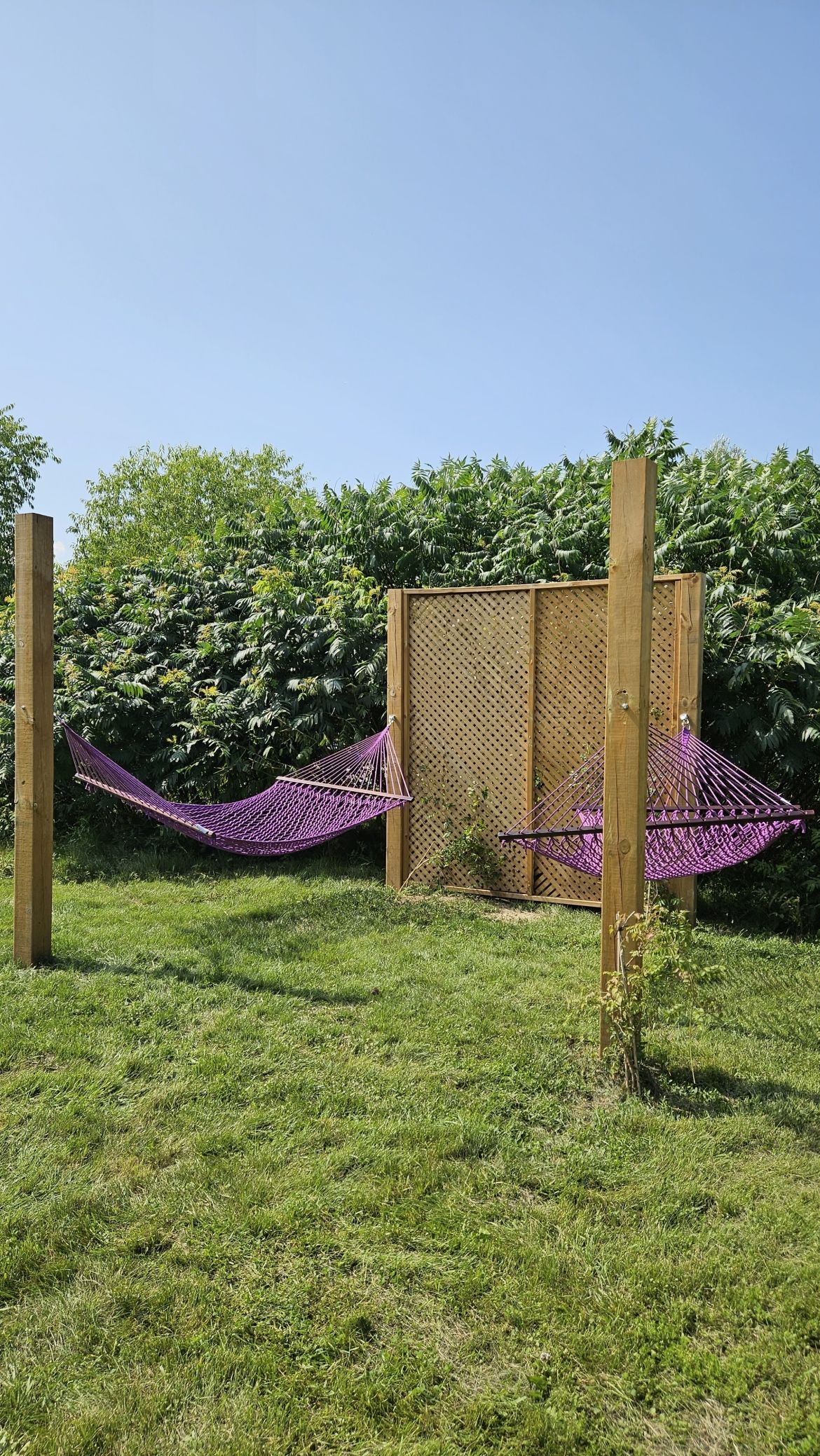 Hammocks in Hummingbird Hammocks in Hummingbird