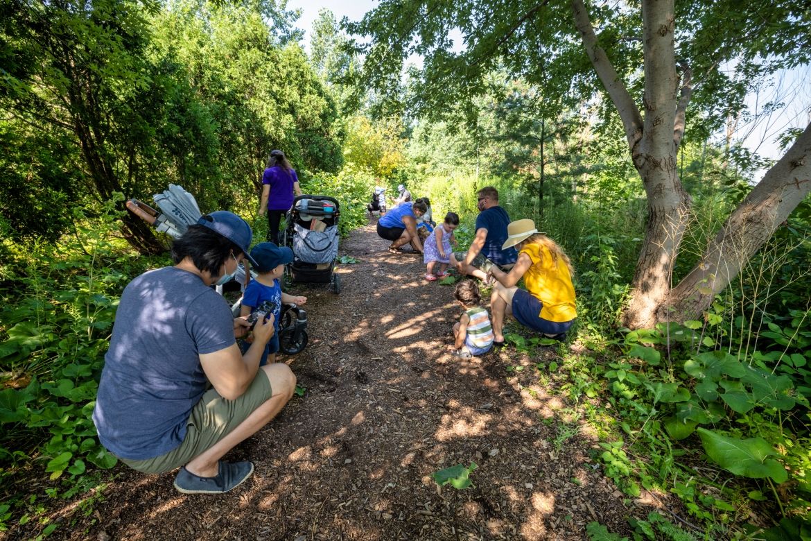 Toddlers and caregivers collecting natural materials along a dirt path in the forest.