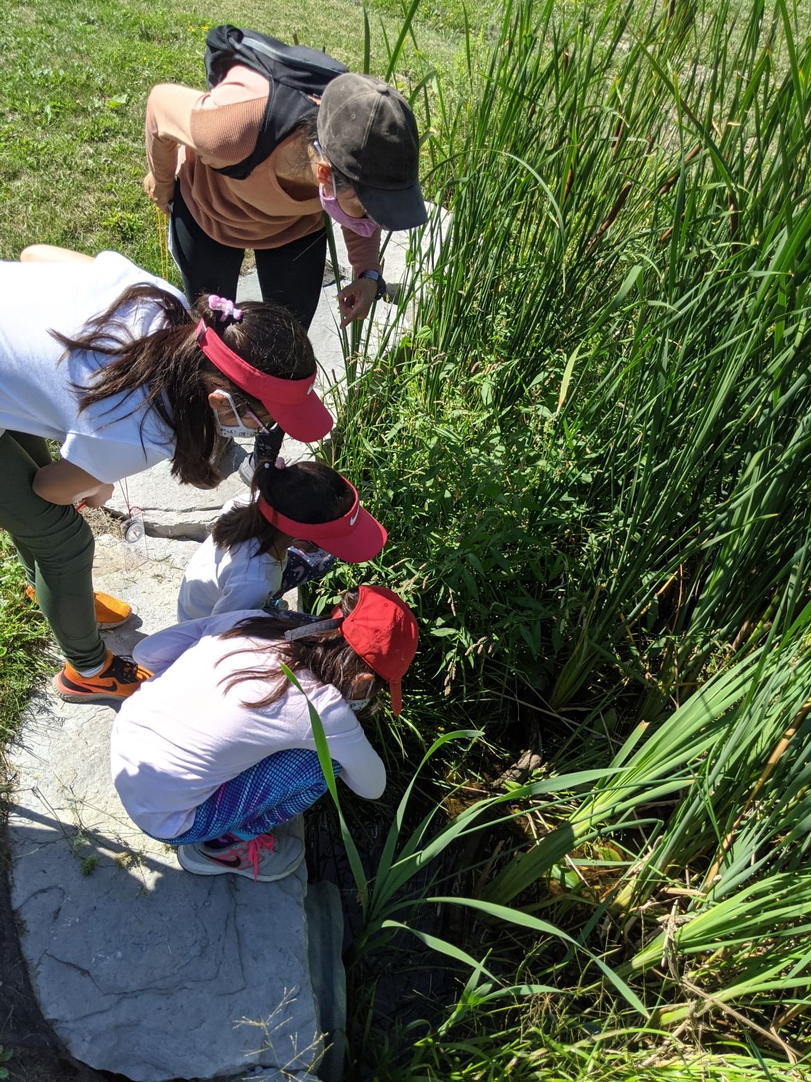A group of people looking at something hidden in tall grass.