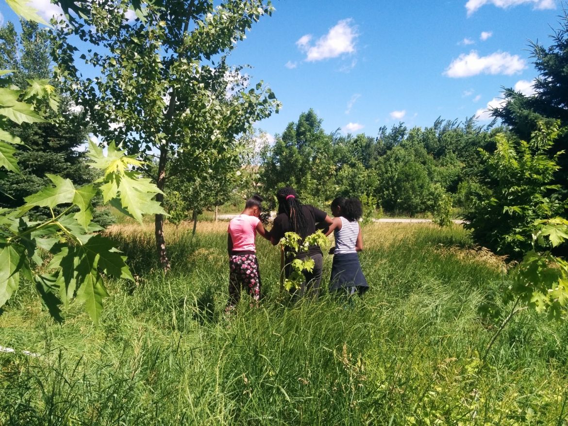 Three students standing in tall grass, surrounded by trees.