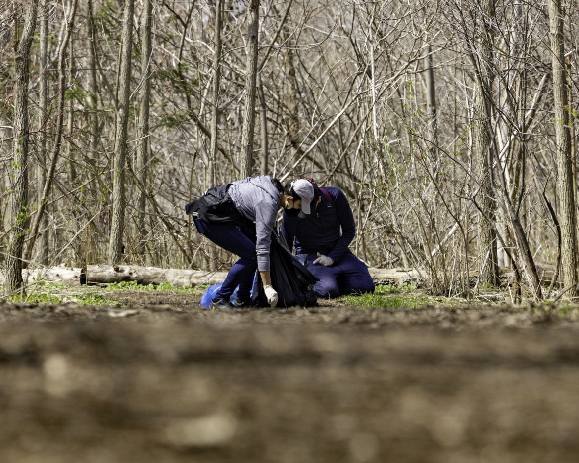 People picking up litter in the forest at Downsview Park.