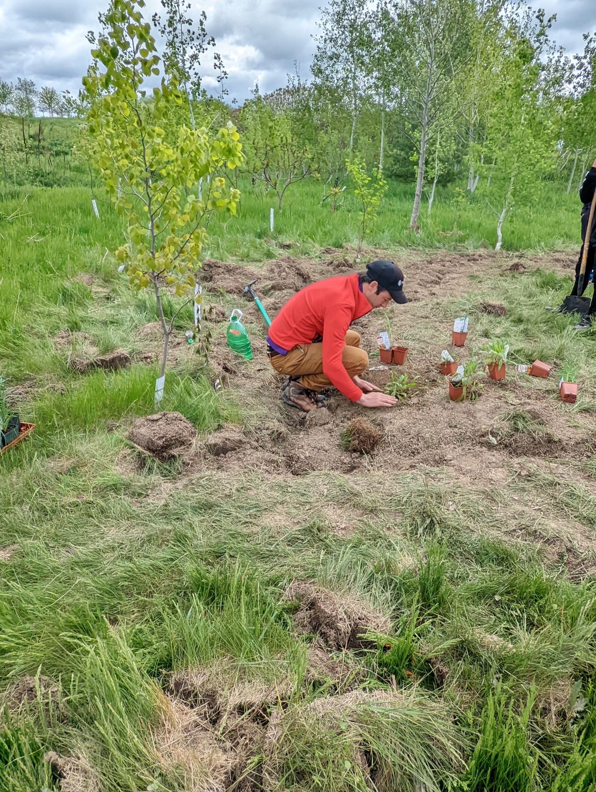 Jonny planting at Hummingbird Jonny planting at Hummingbird