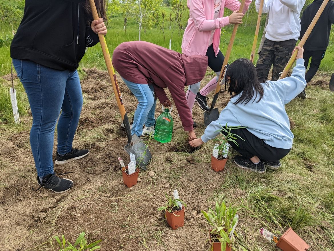People planting at Hummingbird People planting at Hummingbird