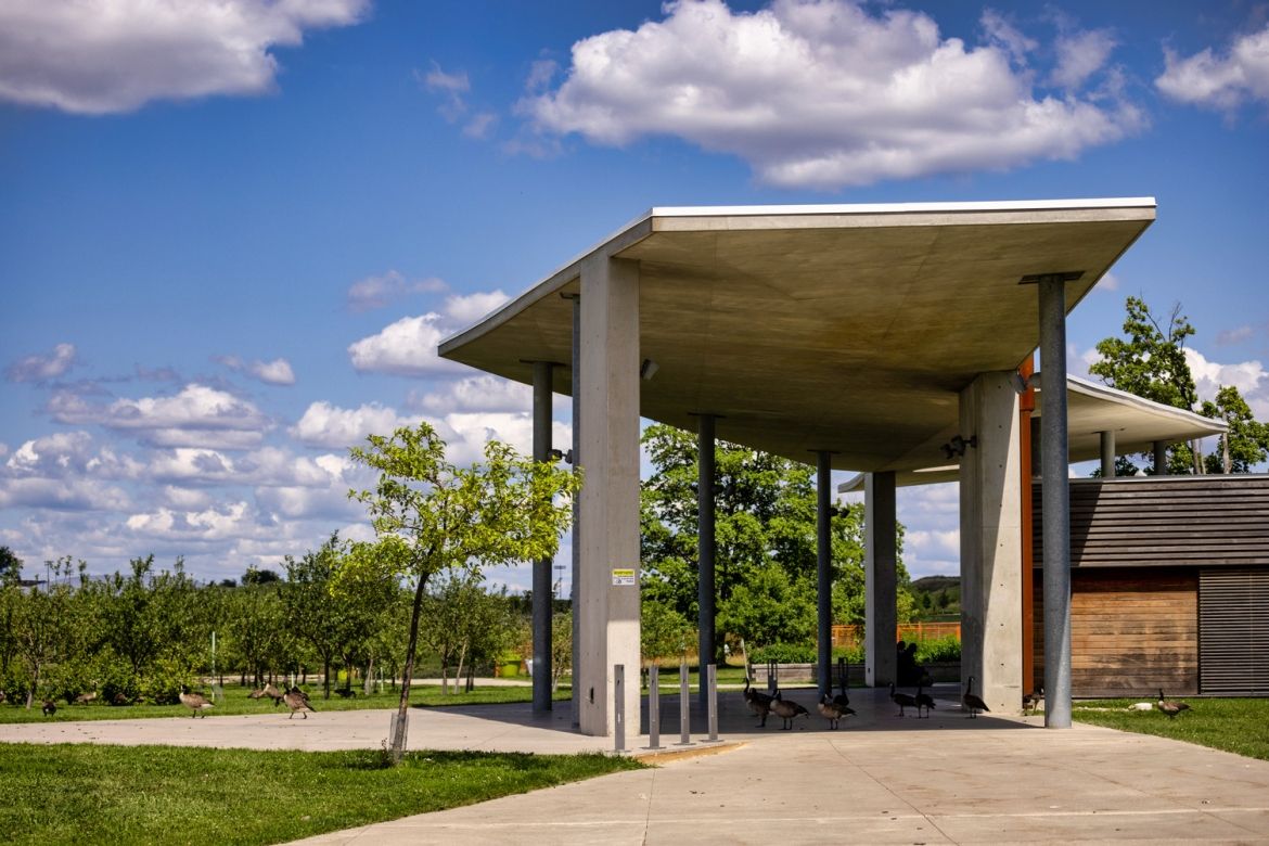 The Orchard Pavilion building and a flock of Canada geese.