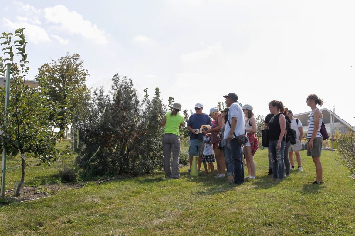 A staff member giving a group of people a tour of the Orchard.