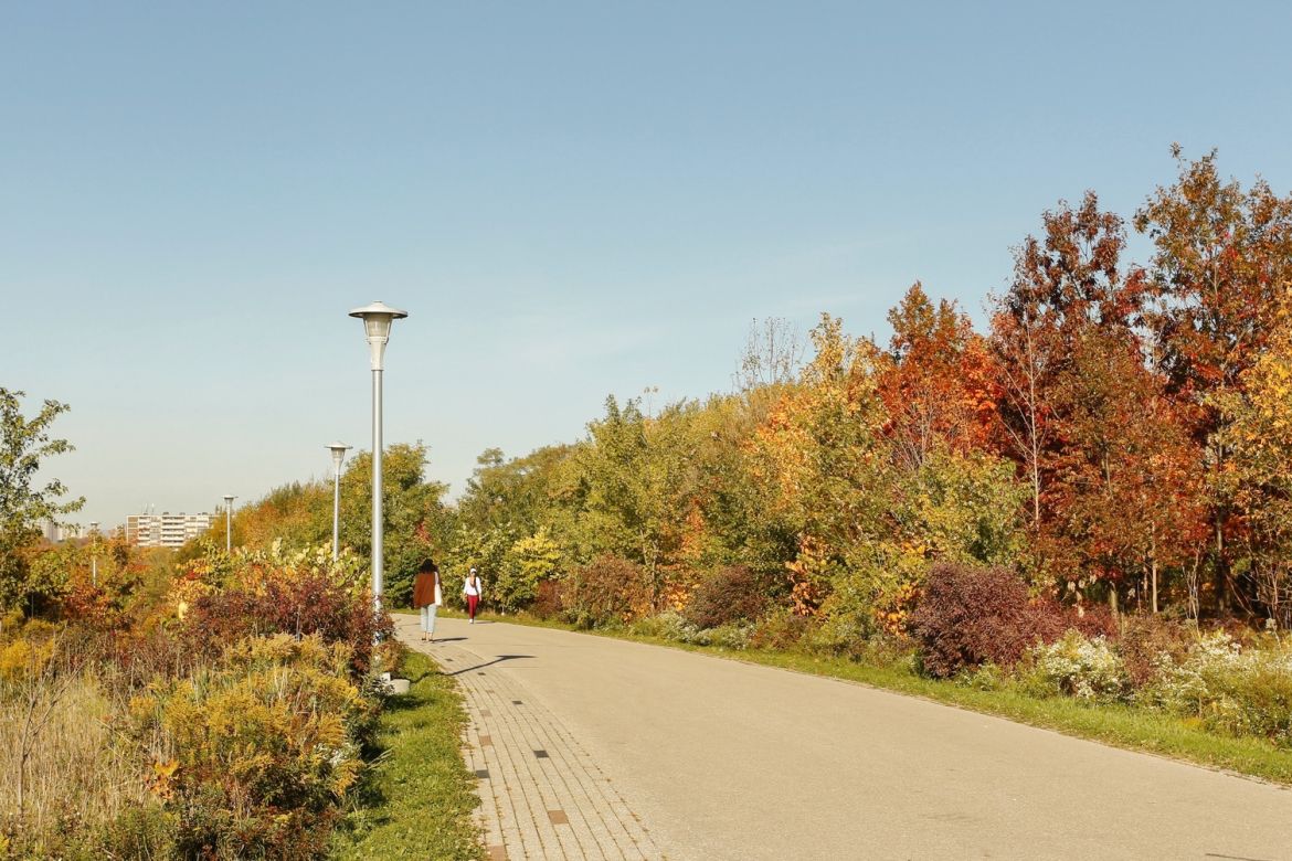Two people walking on a paved trail, surrounded by trees with autumn leaves.