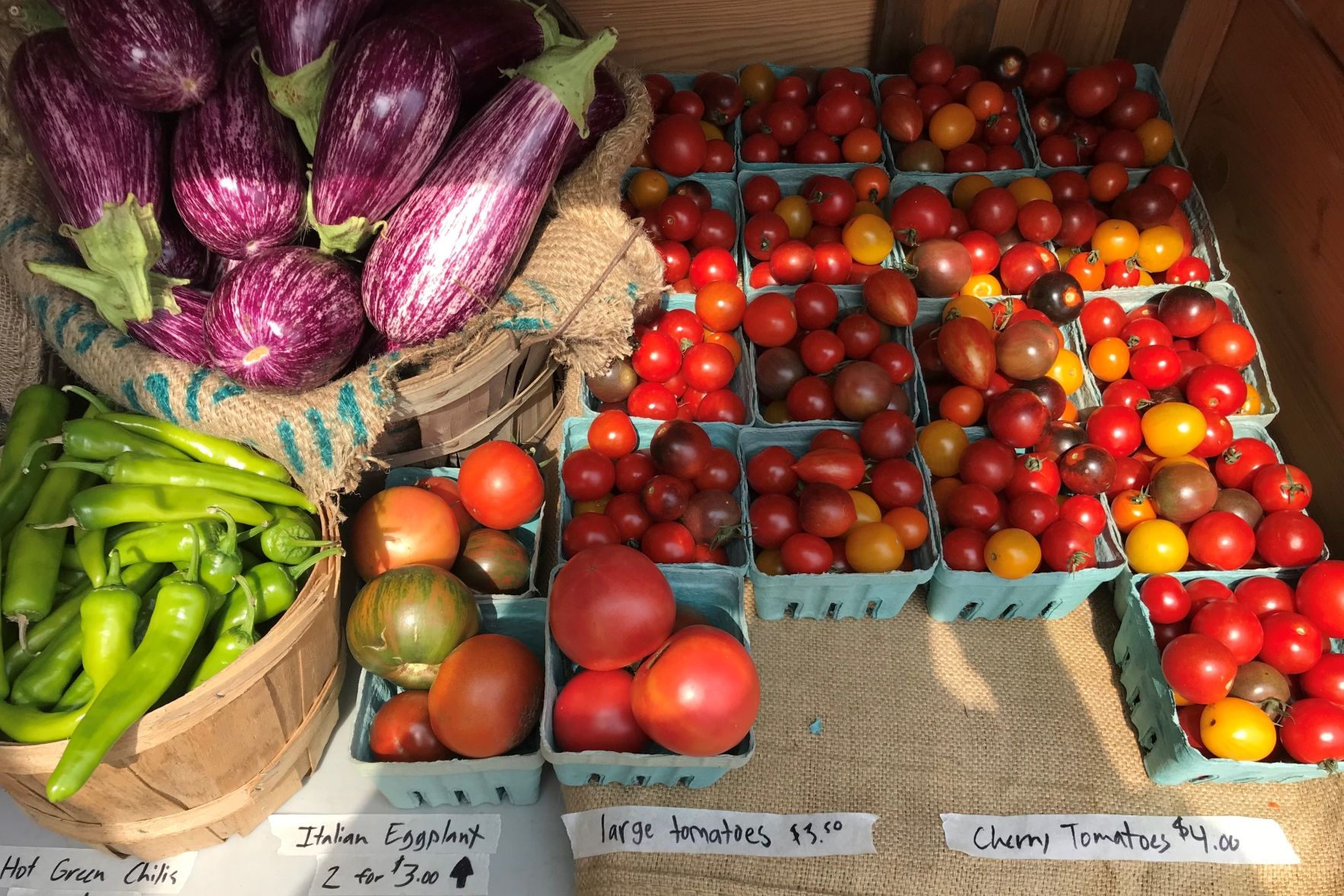 Tomatoes, eggplants and green chillies for sale at Fresh City Farms.