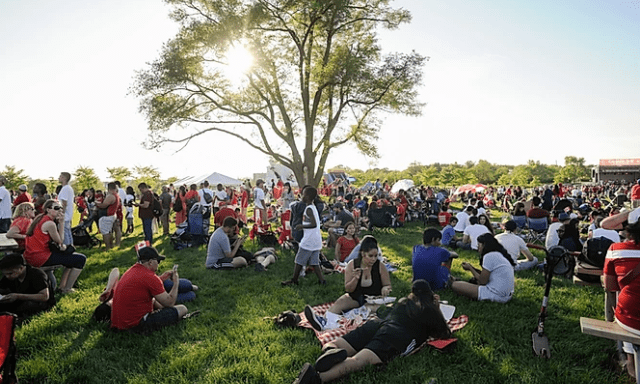 A crowd of people sitting and standing on a field in front of a large tree.