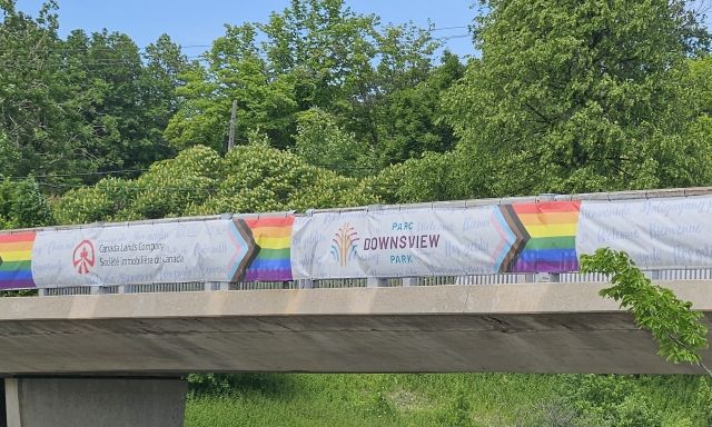 Pride bridge closeup