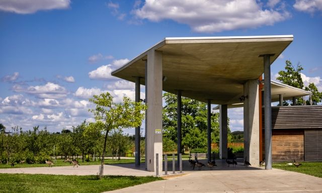 The Orchard Pavilion building and a flock of Canada geese.
