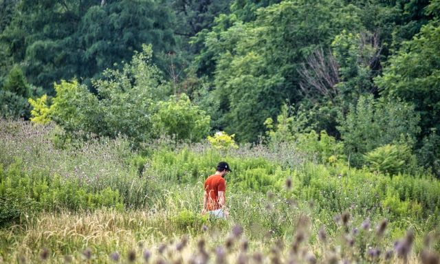 A man in a bright red shirt standing in the middle of the Tallgrass Prairie. A forest in the background.