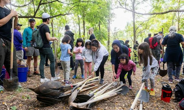 people planting trees