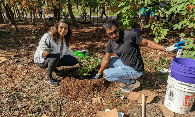 people planting