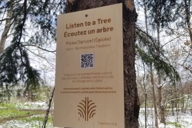 A wooden sign on a tree.