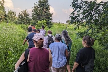 people walking