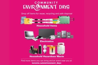 community environment day poster