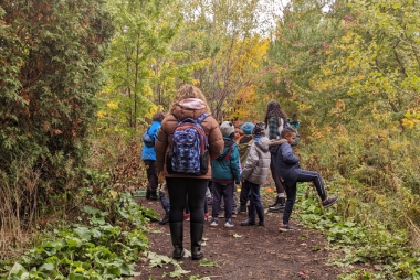 people walking in forest