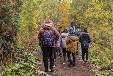 people walking in forest
