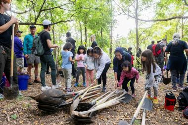 people planting trees