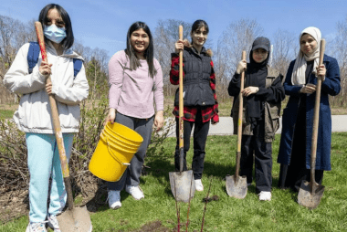 Planting group