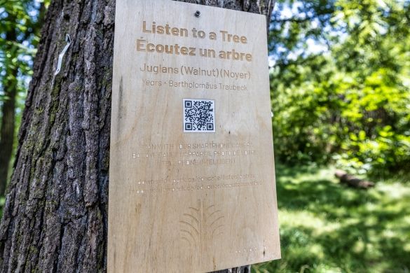 A wooden sign on a tree trunk with a QR code in the middle. Branches and green leaves in the background. | Un panneau en bois fixé à un tronc arbre et présentant un code QR en son centre. Décor de branches et de feuilles vertes en arrière-plan.