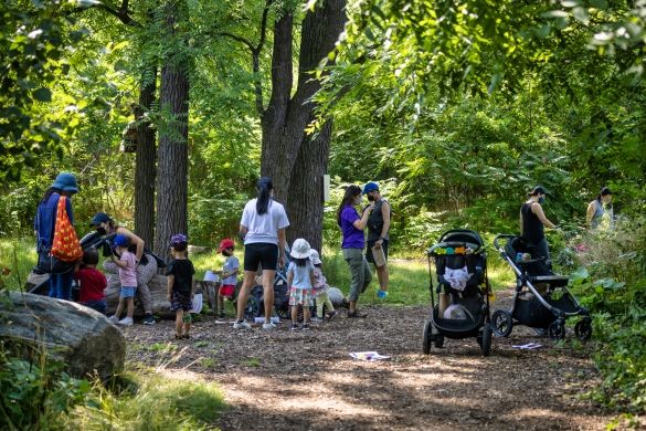A group of toddlers and caregivers standing by a few large trees in the forest.