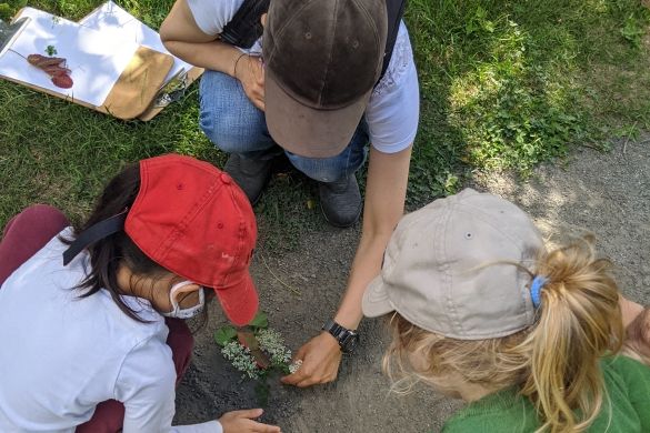 Three children creating art using leaves and flowers.