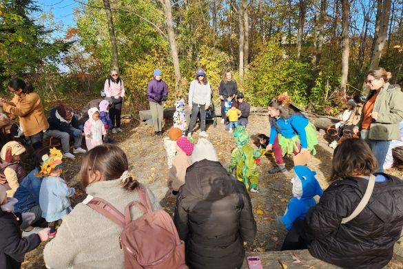 people in the forest