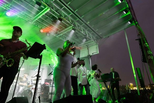 Singer and musician performing on the stage at night