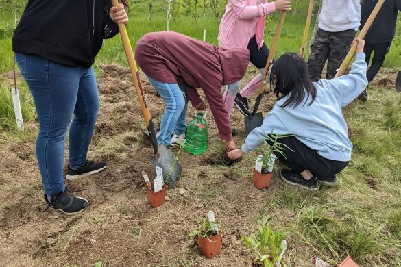 People planting at Hummingbird People planting at Hummingbird