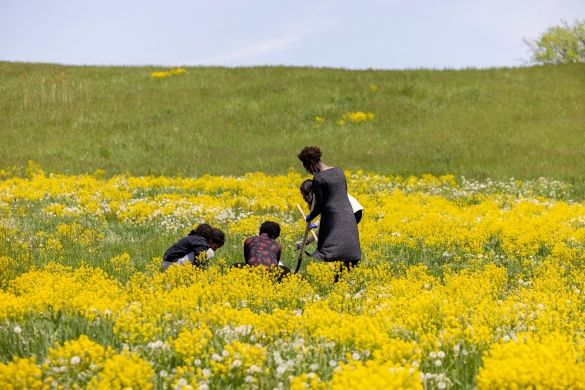 People in a field of flowers