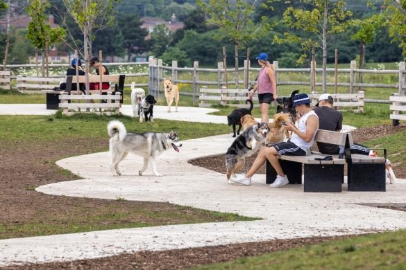 A paved path within the dog park, people sitting on benches, and dogs running.