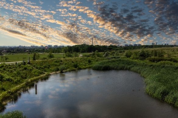A pond surrounded by grass. A cloudy sky in the background.